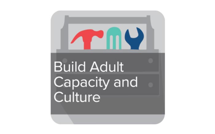Build Adult Capacity and Culture